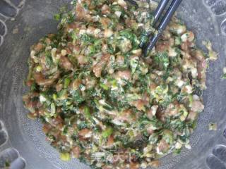 蒲公英猪肉饺子的做法步骤：5