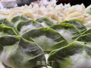 翡翠水饺的做法步骤：3