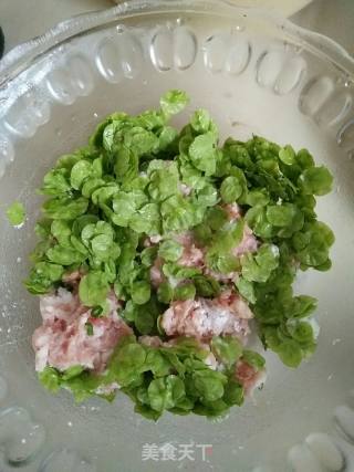 ＃春食野菜香＃榆钱水饺的做法步骤：4