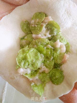 ＃春食野菜香＃榆钱水饺的做法步骤：7