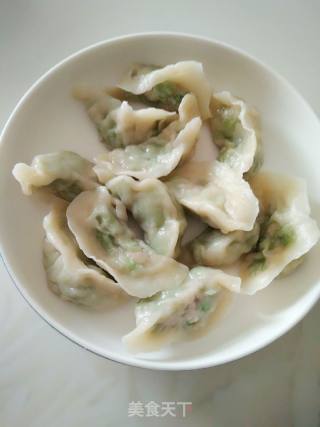 ＃春食野菜香＃榆钱水饺的做法步骤：11