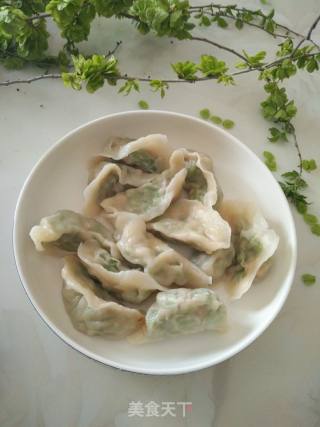 ＃春食野菜香＃榆钱水饺的做法步骤：14