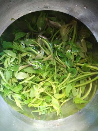 香椿芽拌豆腐的做法步骤：3
