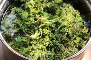 荠菜猪肉饺的做法步骤：1