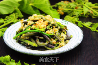 蒜蓉炒蕨菜的做法步骤：7