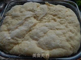 土豆泥小餐包的做法步骤：7