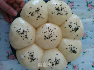 脆底蜂蜜小面包的做法步骤：14