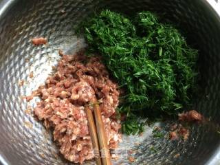 茴香饺子的做法步骤：5