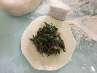茴香饺子的做法步骤：11