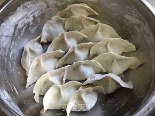 茴香饺子的做法步骤：12