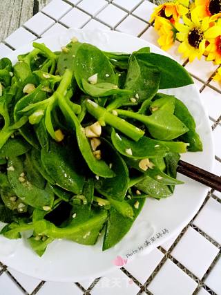 ＃春食野菜香＃蒜香穿心莲的做法步骤：9
