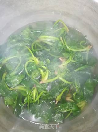麻辣菠菜拌粉丝的做法步骤：3