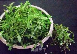 荠菜猪肉水饺的做法步骤：2