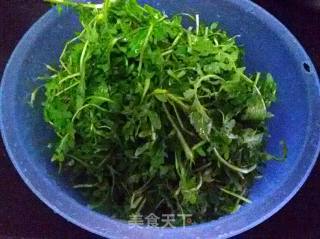 荠菜猪肉水饺的做法步骤：6