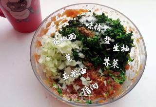 荠菜猪肉水饺的做法步骤：11
