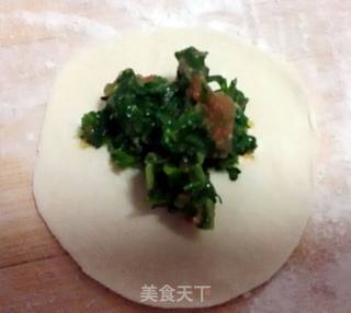 荠菜猪肉水饺的做法步骤：15