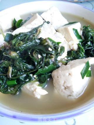 苦菜炖豆腐的做法步骤：4