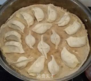 蒲公英猪肉饺子的做法步骤：13