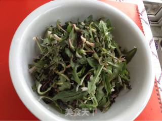 薄公英饺子的做法步骤：1