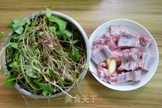 雷公根排骨汤的做法步骤：1