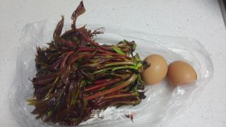 鸡蛋香椿卷的做法步骤：1