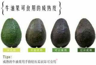 牛油果苹果泥的做法步骤：8