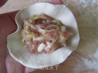 口蘑青南瓜肉馅饺子的做法步骤：11