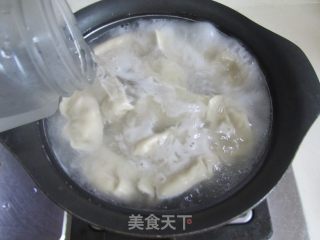口蘑青南瓜肉馅饺子的做法步骤：14