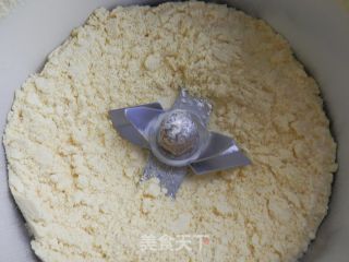 榆钱窝窝头的做法步骤：3