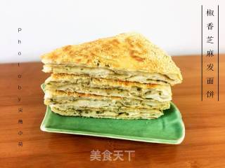 ＃春食野菜香＃椒香芝麻发面饼的做法步骤：17