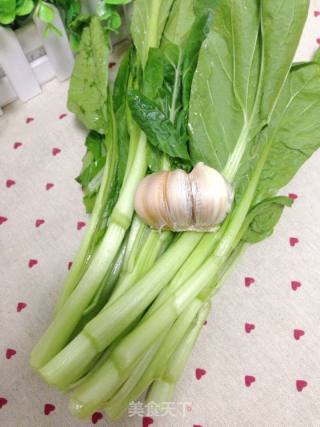 蒜容炒菜心的做法步骤：1