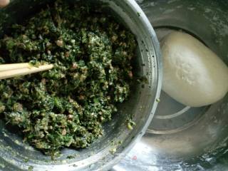 蒲公英菠菜牛肉水饺的做法步骤：5