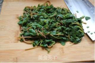 凉拌马齿苋的做法步骤：4