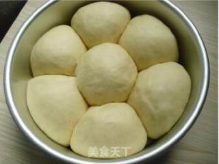 芝麻餐包的做法步骤：3