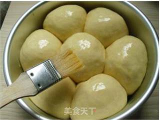 芝麻餐包的做法步骤：4