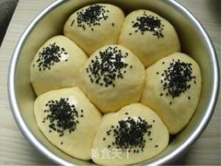 芝麻餐包的做法步骤：5