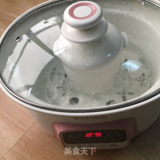 虫草花炖花胶（孕妈妈至爱）的做法步骤：4