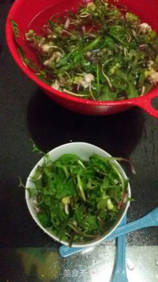 蒲公英二米粥的做法步骤：4