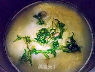 蒲公英二米粥的做法步骤：9