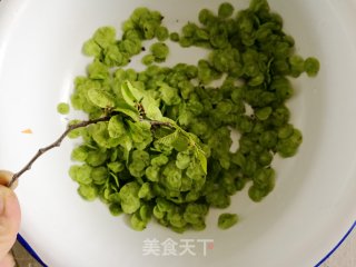 榆钱蛋饼的做法步骤：1