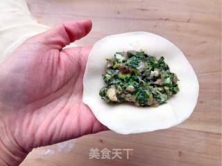 荠菜烫面包子的做法步骤：10