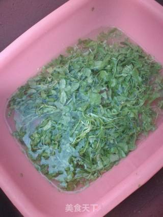 荠菜蛋饼的做法步骤：1