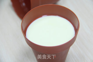 提拉米苏版的盆栽蛋糕的做法步骤：19