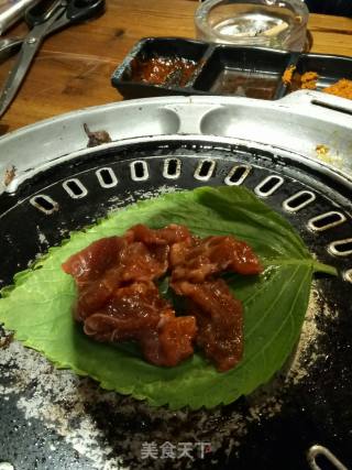 苏子叶烤肉的做法步骤：1