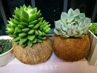 椰子鸡的做法步骤：9