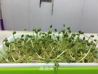 豆苗三素的做法步骤：1