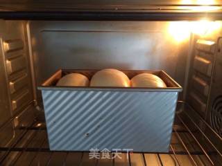 酸奶吐司的做法步骤：15