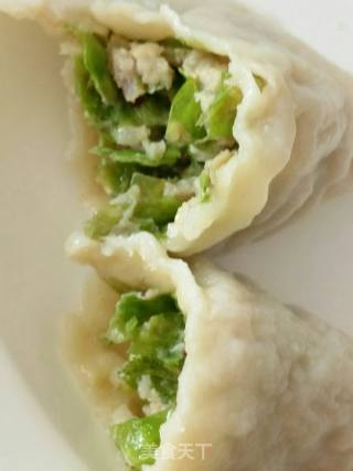 榆钱水饺的做法步骤：10