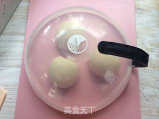无蛋无油酸奶吐司的做法步骤：10