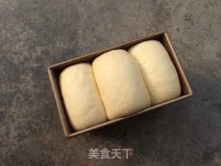 无蛋无油酸奶吐司的做法步骤：13